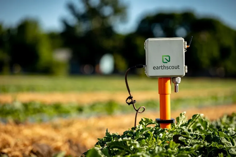 Field sensor mounted among crops for site and soil monitoring