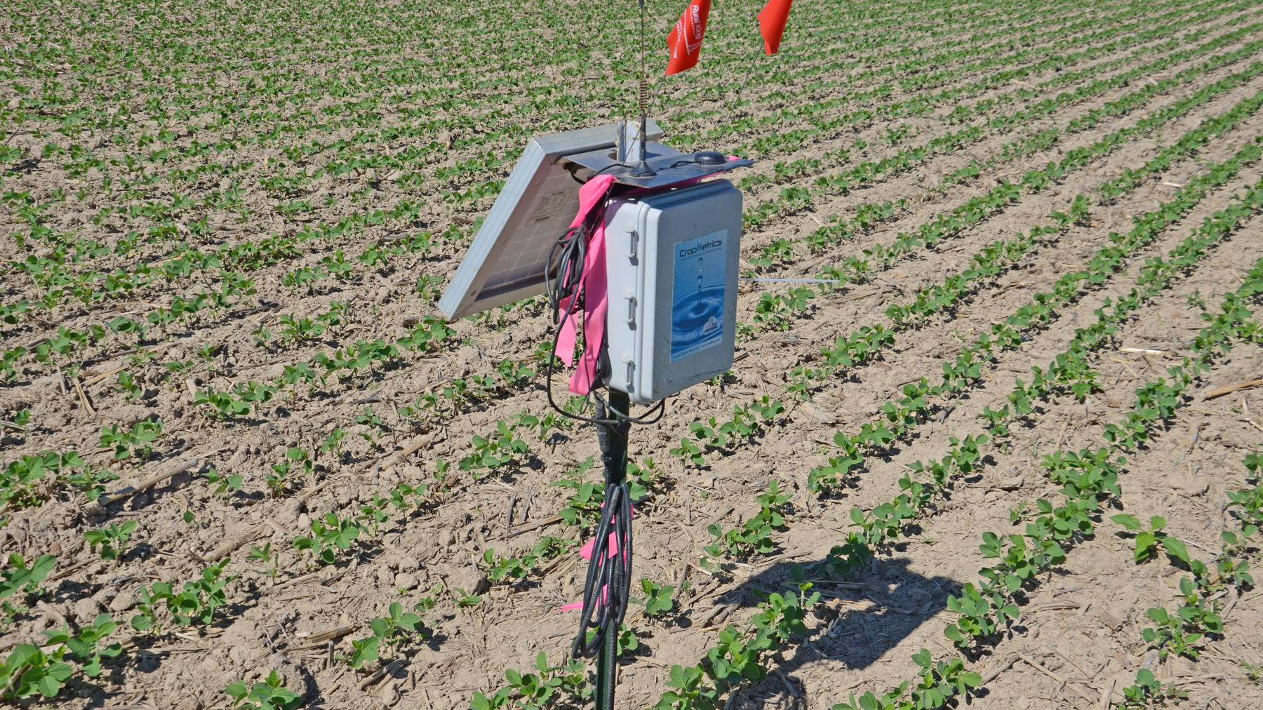 Solar-powered soil moisture sensor installed in a crop field